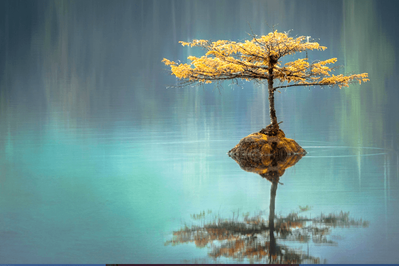 Sources of Wisdom and Authority – Lesson 1 – Introduction